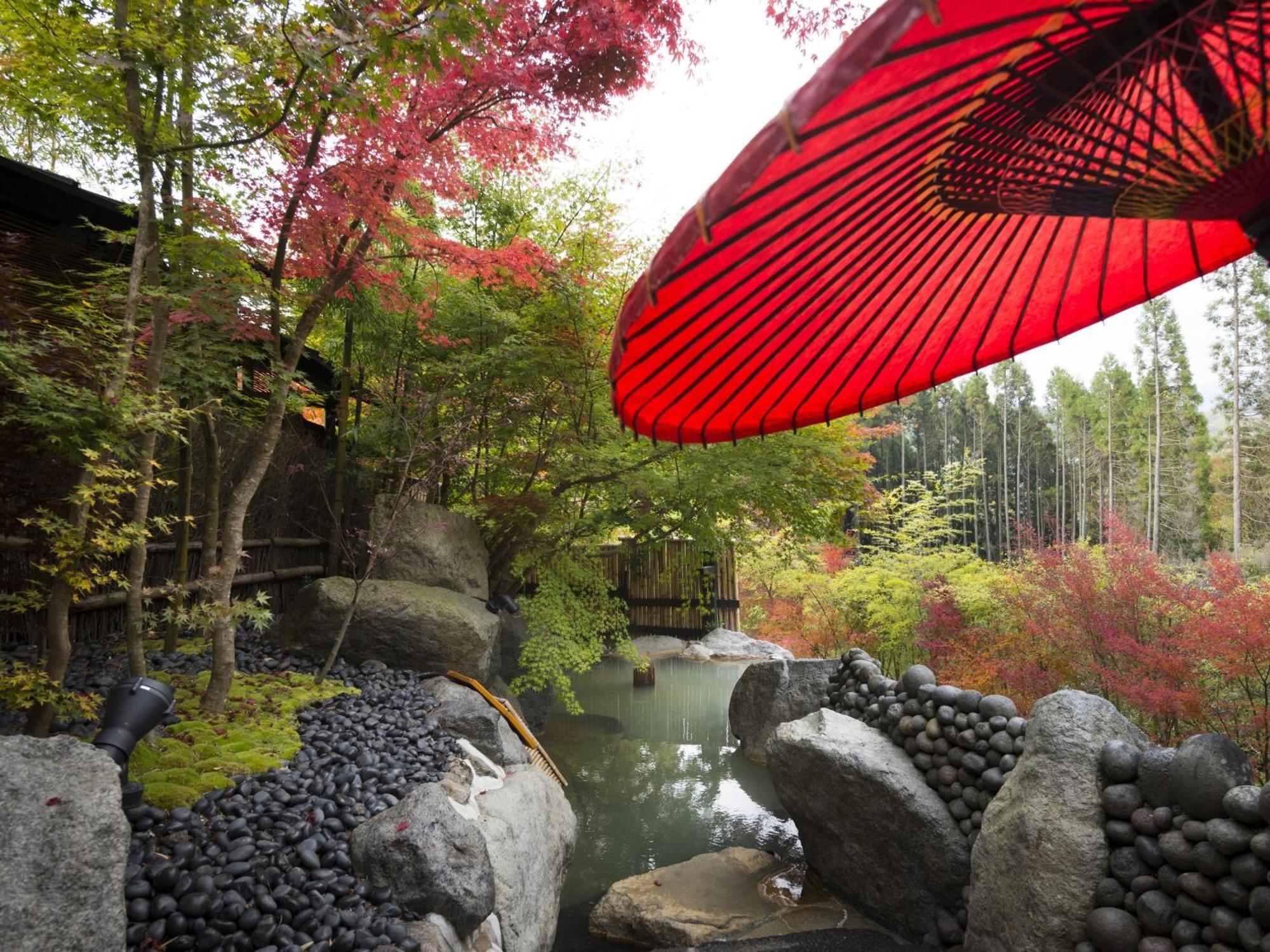 Hikyou Shirakawagensen Sansou Takefue Minamioguni Exterior foto