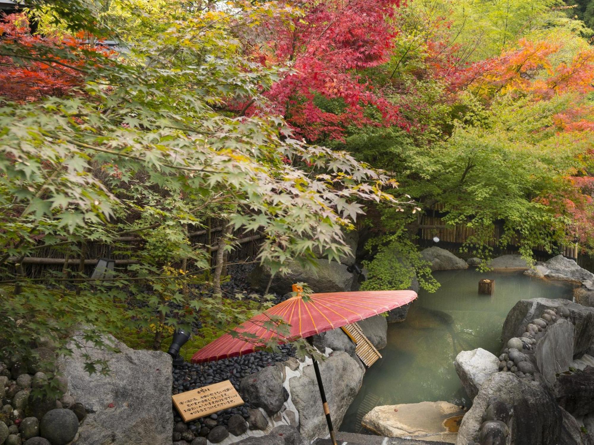 Hikyou Shirakawagensen Sansou Takefue Minamioguni Exterior foto